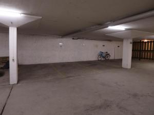 Jízda na kole v ubytování Seebach B1 nebo okolí