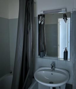 巴黎的住宿－Luxury Appartement Batignole，一间带水槽和淋浴帘的浴室