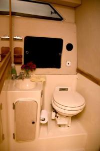 a small bathroom with a toilet and a sink at Charming Yacht on Catskill Creek in Catskill