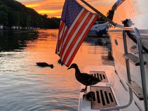 um pato parado na frente de um barco com uma bandeira em Charming Yacht on Catskill Creek em Catskill