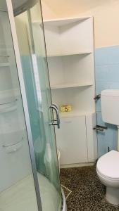 a bathroom with a shower and a toilet at Casa Vacanze Libarna Outlet in Serravalle Scrivia