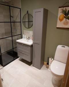 een badkamer met een toilet, een wastafel en een douche bij BLUEBERRY LODGE 5 personnes in Mjölan