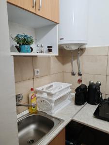 eine Küche mit einer Spüle und einem Geschirrständer auf der Theke in der Unterkunft Sobica in Sremska Kamenica