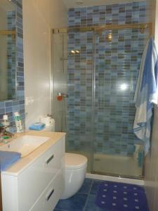 a bathroom with a shower and a toilet and a sink at 4 bedrooms house with private pool jacuzzi and wifi at Roxos in Santiago de Compostela
