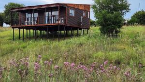 a wooden cabin in a field of grass and flowers at Rivers Rest Country Cabin in Skeerpoort