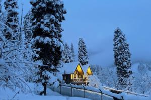 TangmargSolomons Gray的夜晚雪中的一个小屋