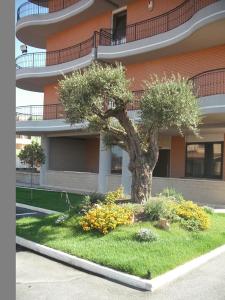 un árbol en el césped frente a un edificio en B&B HOTEL Pomezia Cortese, en Pomezia