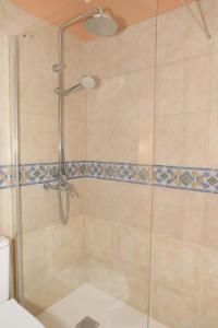 a shower with a glass door in a bathroom at 2 bedrooms appartement with shared pool terrace and wifi at Costa Adeje in Santa Cruz de Tenerife