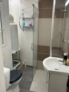 uma casa de banho com um chuveiro, um WC e um lavatório. em Studio Sanae em Lézignan-Corbières