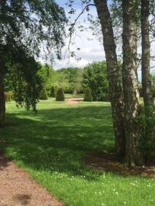 un champ d'herbe planté d'arbres et un sentier dans l'établissement Propriete de 2 chambres avec terrasse et wifi a Saint Nicolas du Bosc commune nouvelle le Bosc du Theil, 