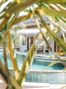 a house with a swimming pool behind some palm trees at Luana Lombok in Selong Belanak