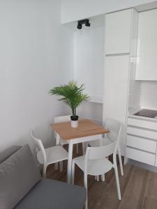 a small kitchen with a table with a potted plant on it at Francos Rodriguez1 Apartments in Madrid