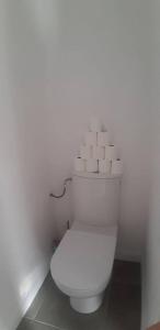 La salle de bains est pourvue de toilettes blanches. dans l'établissement Maison d'une chambre avec piscine partagee terrasse et wifi a Sainte Terre, à Sainte-Terre
