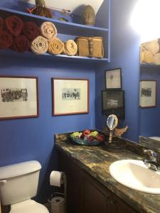 ein blaues Badezimmer mit WC und Waschbecken in der Unterkunft Cozy and Peaceful Tiny House on a 100-acre Farm in Lewisville