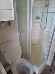 uma pequena casa de banho com WC e chuveiro em GASPRO21 - Golfe de Saint-Tropez, chalet californien pour 8 personnes em Gassin