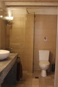 a bathroom with a toilet and a sink at Villa Aposperitis in Panormos Rethymno