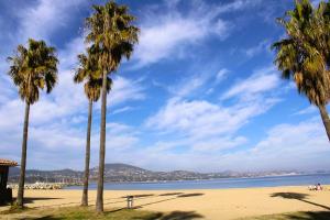 um grupo de palmeiras numa praia em GASPRO21 - Golfe de Saint-Tropez, chalet californien pour 8 personnes em Gassin