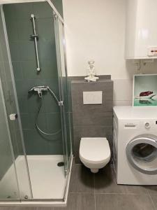 bagno con doccia, servizi igienici e lavatrice. di Ferienwohnung Seeluft a Keutschach am See