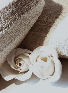 une rose blanche assise sur une couverture dans l'établissement Les Fontaines d'O, à Castelnau-dʼEstrétefonds
