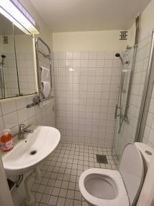 a bathroom with a sink and a toilet and a shower at Cozy one bedroom apartment in Stockholm in Stockholm