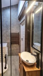 bagno con lavandino e specchio di Dream Apartments 2B a Oświęcim