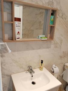 La salle de bains est pourvue d'un lavabo et d'un miroir. dans l'établissement The Sidibou Said Story, à Sidi Bou Saïd
