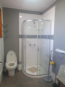 een badkamer met een douche en een toilet bij Adelita Departamento Loja in Loja