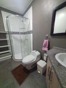 een badkamer met een douche, een toilet en een wastafel bij Adelita Departamento Loja in Loja