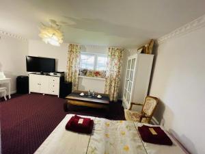 sypialnia z łóżkiem i telewizorem w pokoju w obiekcie K&B Residence w mieście Jarosław