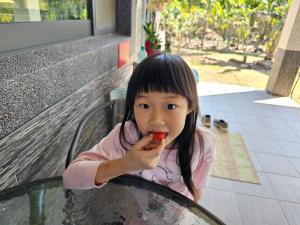 Majutusasutuse 近萬巒豬腳街養生民宿 külastajad