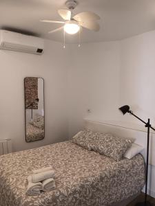 1 dormitorio con 1 cama con ventilador de techo y espejo en Francos Rodriguez2 Apartments, en Madrid