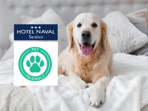 Zwierzęta zatrzymujące się w obiekcie Hotel Naval Sestao