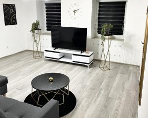 雷恩的住宿－Apartment，客厅配有带电视架的平面电视