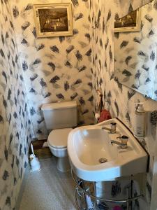 ein Bad mit einem Waschbecken und einem WC in der Unterkunft Chambre Rêve américain in Montournais