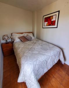 1 dormitorio con 1 cama y una foto en la pared en Acogedor dormitorio privado en Arequipa