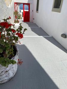 a hallway with red flowers and a red door at Palm Tree Hill in Oia