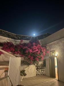 Foto de la galeria de Palm Tree Hill a Oia