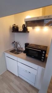 eine Küche mit einer Spüle und einer Mikrowelle in der Unterkunft Free Parking Center Of The City Studio Aalborg in Aalborg