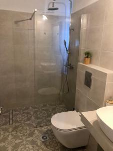 ein Bad mit einer Dusche, einem WC und einem Waschbecken in der Unterkunft Barbara΄s Apartments in Argostoli