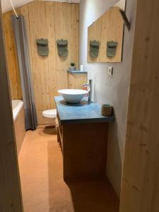 baño con lavabo en la encimera en Jolie maison entre mer et Narbonne, en Narbona