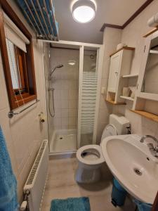 een badkamer met een douche, een toilet en een wastafel bij Vakantiepark Klein Vink - E11 in Arcen