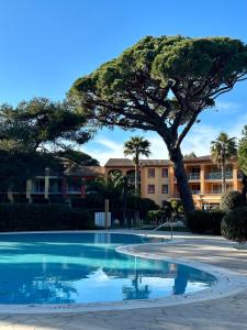 une piscine avec un arbre en face d'un bâtiment dans l'établissement LA BADINE 5p Plage piscine clim jacuzzi parc luxuriant, à Hyères
