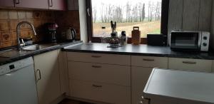 a kitchen with a counter top with a microwave at Vogels Ferienhaus in Kreideseenähe in Hemmoor