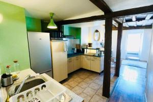 a kitchen with green walls and a white refrigerator at Suite Rive Gauche - FONTAINEBLEAU RUE GRANDE - Chez Alexis in Fontainebleau