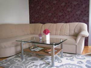 a living room with a couch and a glass table at Ferienwohnung Kottmarsdorf in Kottmarsdorf