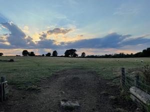 a field with a fence and animals in a field at Barwell Manor - Master room 