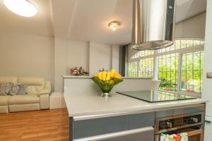 Kuchnia lub aneks kuchenny w obiekcie Bright Apartment Torrevieja + Pool