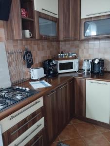 Kuchyňa alebo kuchynka v ubytovaní Apartmánový dom Anna