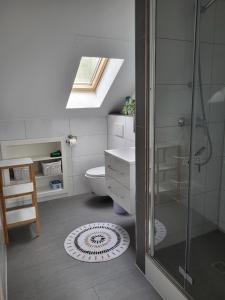 a bathroom with a shower and a toilet at Ruhige Unterkunft - Dachterasse und Panoramablick in Warstein