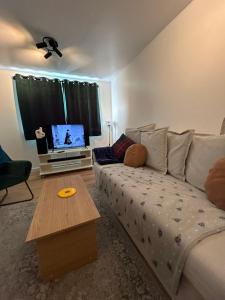 a living room with a couch and a tv at Woodhouse Apartment in Headingley